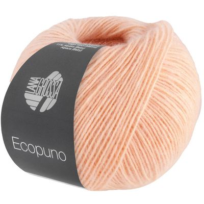 Ecopuno. 